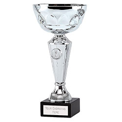 Silver Aim12 Cup 33cm