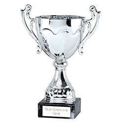 Silver  Sydney Cup  19cm