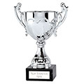 Silver  Sydney Cup  23cm