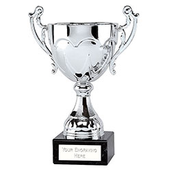 Silver  Sydney Cup  27cm