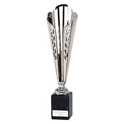 Silver  Tycone Silver Cup 34cm