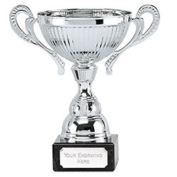 Silver Turin Silver Cup 165mm