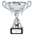 Silver Turin Silver Cup 165mm