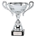 Silver Turin Silver Cup 23cm