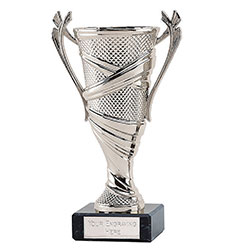 Silver Reno Cup Silver 16cm