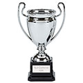 Silver Mirror Cup 17cm