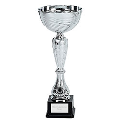 Silver Wave Cup 265mm