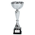 Silver Wave Cup 29cm