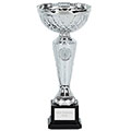 Silver Tweed Cup  27cm