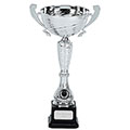 Silver Surge Silver Cup 305mm