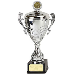 Silver Link Prestige Silver Cup  38cm