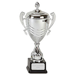 Silver Link Apex Silver Cup 35cm