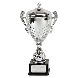 Silver Link Apex Silver Cup 49cm