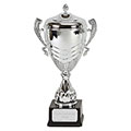 Silver Link Apex Silver Cup 49cm