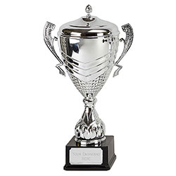 Silver Link Apex Silver Cup 53cm