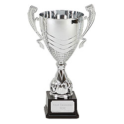 Silver Link Silver Cup  35cm