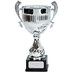 Silver Alpha Silver Cup 48cm