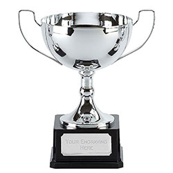 Silver Elite Vista Cup 30cm