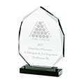 Clarity Optical Crystal Award 230mm