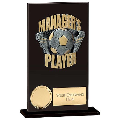 Euphoria Hero Managers Player Award 140mm