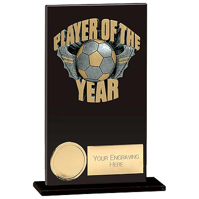 Euphoria Hero Player of the Year Award 150mm