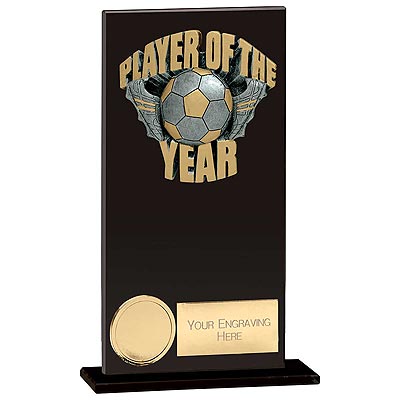 Euphoria Hero Player of the Year Award 175mm