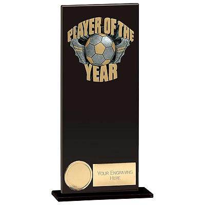 Euphoria Hero Player of the Year Award 225mm