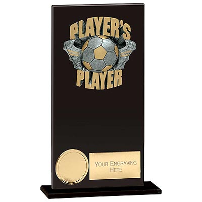 Euphoria Hero Players Player Award 160mm