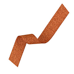 Bronze  Ribbon