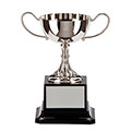 Tavistock Collection Nickel Plated Cup 160mm