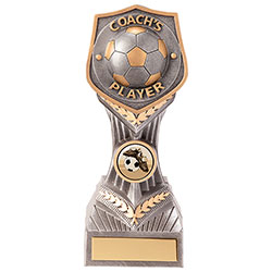 Falcon Football Coachs Player Award 190mm