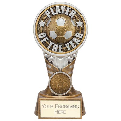 Ikon Tower Player of the Year Award 150mm