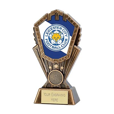 Peak Custom Football Trophy 200mm