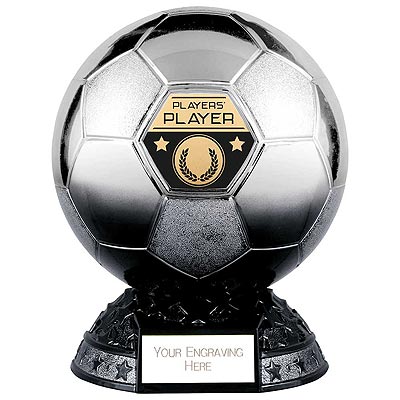 Elite Metallic Silver to Black Players Player 200mm