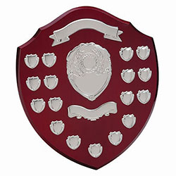 The Supreme Annual Shield Award  360mm