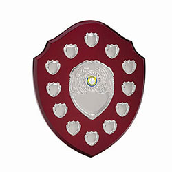 The Supreme Annual Shield Award  295mm