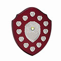 The Supreme Annual Shield Award  295mm