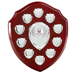 The Supreme Annual Shield Award  220mm