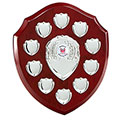 The Supreme Annual Shield Award  220mm