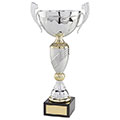 Century Cup Silver & Gold 320mm