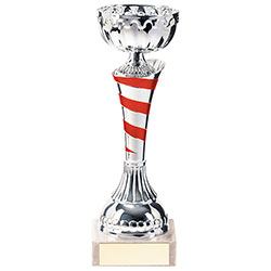 Eternity Cup Silver & Red 190mm