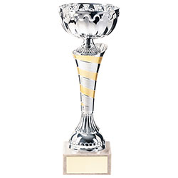 Eternity Cup Silver & Gold 240mm