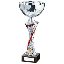 Dominion Cup Silver & Red 275mm