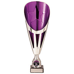 Rising Stars Deluxe Plastic Lazer Cup Silver & Purple 295mm