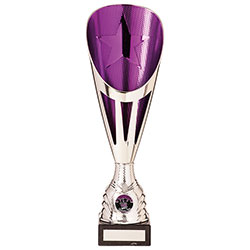 Rising Stars Deluxe Plastic Lazer Cup Silver & Purple 335mm