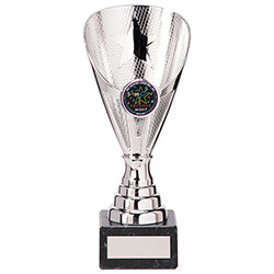 Rising Stars Premium Plastic Trophy Silver 185mm