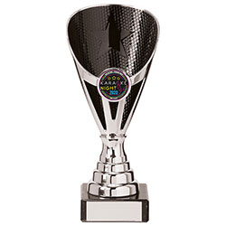 Rising Stars Premium Plastic Trophy Silver & Black 170mm