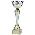 Everest Silver & Gold Cup 300mm