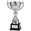 Endeavour Silver Cup 310mm