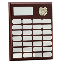 Rosewood Silver Ashfield Economy Presentation 10 x 8 Inch